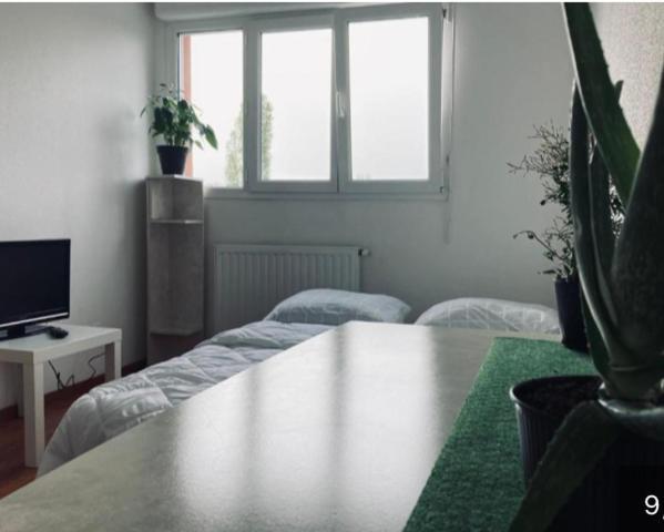 Zenith Strasbourg 2 Chambre Eckbolsheim Exterior foto